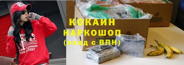 тгк Новокубанск