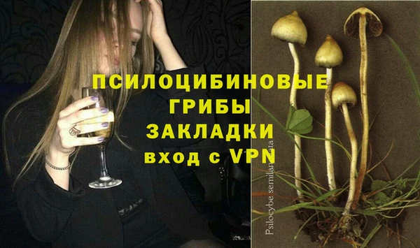 прущая мука Новодвинск