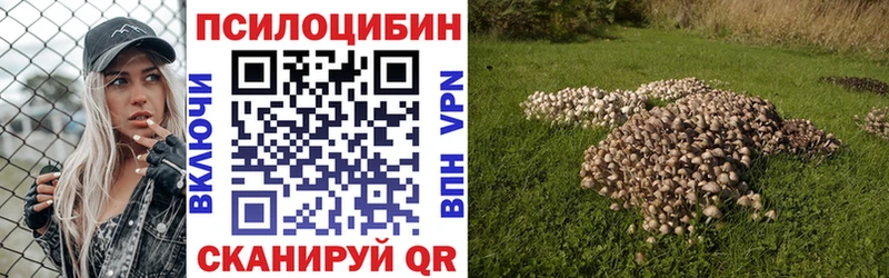 Псилоцибиновые грибы прущие грибы Пестово
